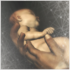 Icône de Naissance d'un Assassin
