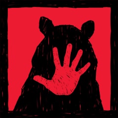 Icône de Un ours peut en cacher un autre