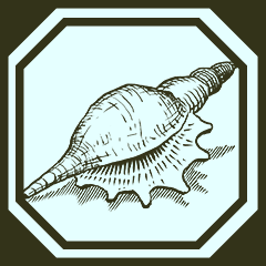 Icône de Platine